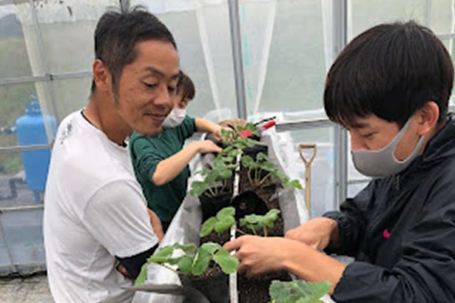 教員ブログ更新－水草堆肥でイチゴ栽培に挑戦!