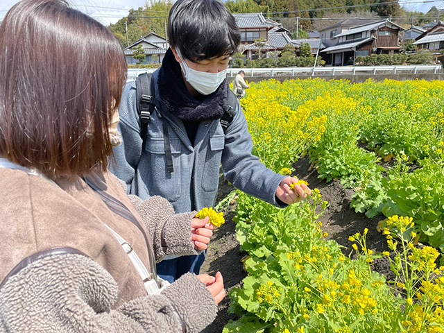 「菜の花フェスティバル」（大津市上田上元気づくり事業）が開催されました。